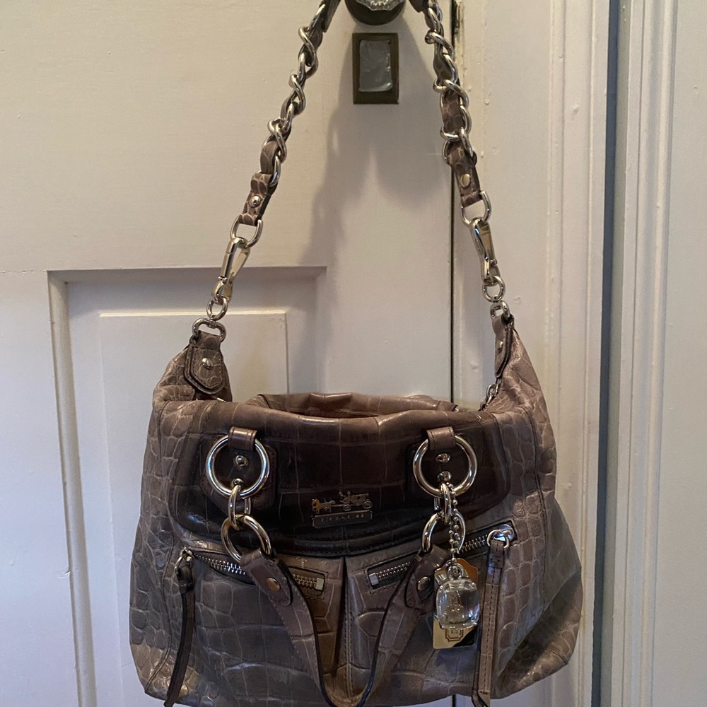Coach Snakeskin Purse